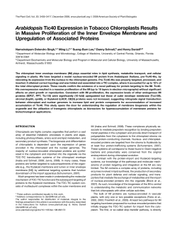 Arabidopsis Tic40 Expression in Tobacco Chloroplasts Results in