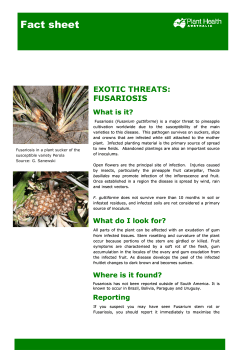FS - Plant Health Australia