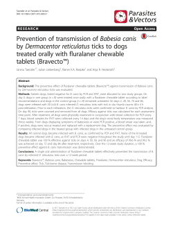Prevention of transmission of Babesia canis by Dermacentor