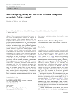 How do fighting ability and nest value influence usurpation contests