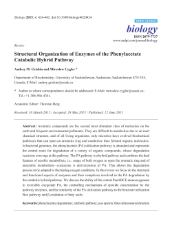 Full-Text PDF