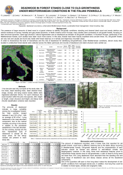 deadwood in forest stands close to old