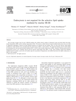 Endocytosis is not required for the selective lipid uptake mediated by