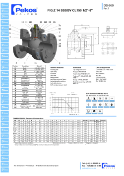 FIG.Z 14 SSSGV CL150 1/2"-8"