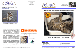 Another very hot summer in Southern California! Moxie,at
