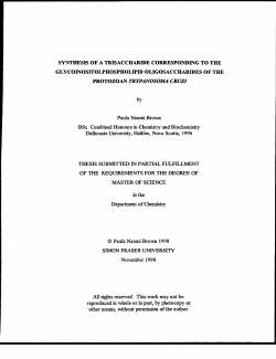 synthesis ofa trisaccharide corresponding to teie