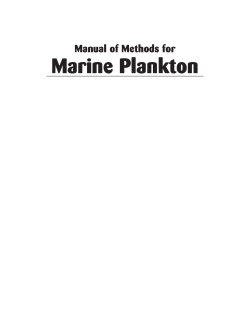 Marine Plankton - Astral International