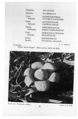 Kingdom Division Class Subclass Order Suborder Family Subfamily