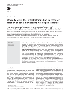 Where to draw the mitral isthmus line in catheter ablation of atrial