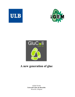 A new generation of glue