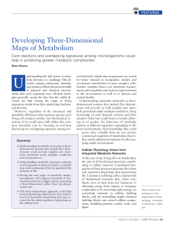 Developing Three-Dimensional Maps of Metabolism