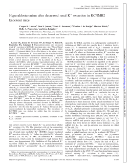 Hyperaldosteronism after decreased renal K+ excretion in KCNMB2