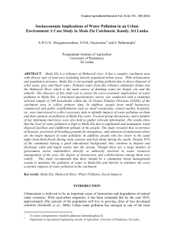Socioeconomic Implications of Water Pollution in an Urban
