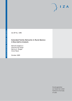 Extended Family Networks in Rural Mexico: A Descriptive
