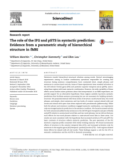 Full Paper - Christopher Hammerly