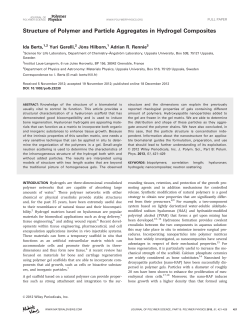 Structure of polymer and particle aggregates in hydrogel composites