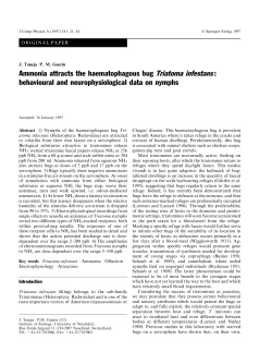 Ammonia attracts the haematophagous bug Triatoma