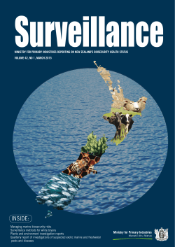 Surveillance Magazine