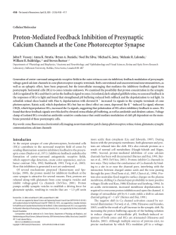 Proton-Mediated Feedback Inhibition of Presynaptic Calcium
