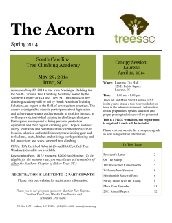 The Acorn - Trees SC
