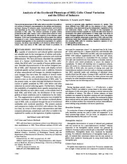 Analysis of the Erythroid Phenotype of HEL Cells