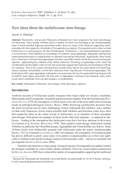 New ideas about the euchelicerate stem-lineage