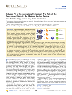Induced Fit or Conformational Selection? The
