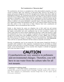 CAUTION