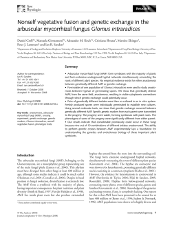 Nonself vegetative fusion and genetic exchange in the - Serval