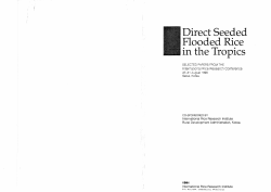 Direct Seeded Flooded Rice in· the Tropics - Wageningen UR E