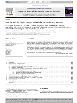 DNA damage by singlet oxygen and cellular - Genoma