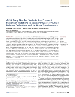 rDNA Copy Number Variants Are Frequent Passenger Mutations in