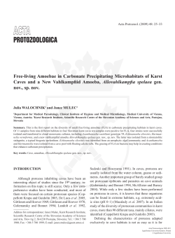 Free-living amoebae in carbonate