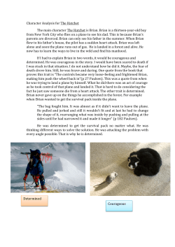 Character Analysis