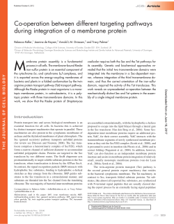 Co-operation between different targeting pathways during