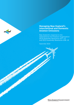 Read the Aviation Emissions Reduction Action Plan
