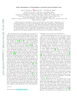 Scale dependence of branching in arterial and bronchial trees