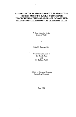 studies on the plasmid stability, plasmid copy - DORAS