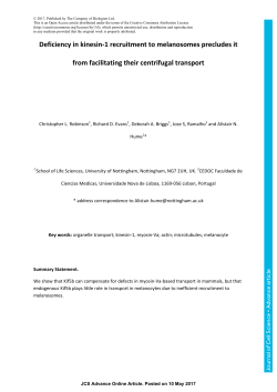 Deficiency in kinesin-1 recruitment to melanosomes precludes it
