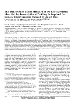 The Transcription Factor MtSERF1 of the ERF