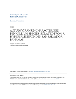 a study of an uncharacterized penicillium species isolated from a