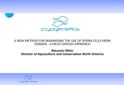 A NEW METHOD FOR MAXIMIZING THE USE OF SPERM CELLS
