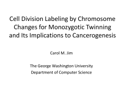 Cell Division Labeling by Chromosome Changes for Monozygotic