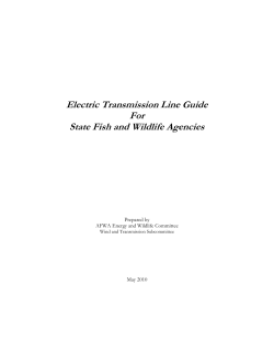 Electric Transmission Line Guide For State Fish and Wildlife Agencies