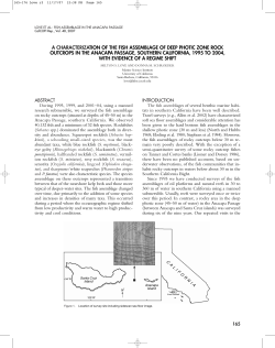 a characterization of the fish assemblage of deep photic zone rock