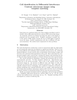Cell identification in Differential Interference Contrast microscope