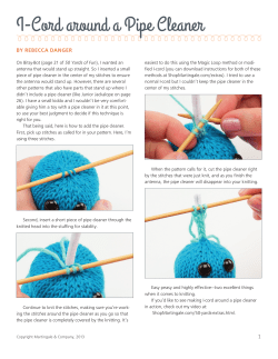 I-Cord around a Pipe Cleaner