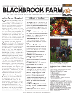 Newsletter 13 - Blackbrook Farm