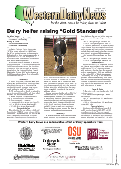 Dairy heifer raising &ldquo;Gold Standards&rdquo;