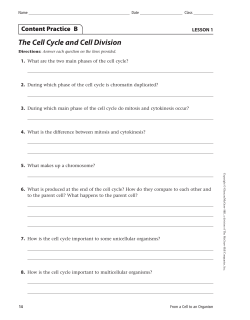 The Cell Cycle and Cell Division
